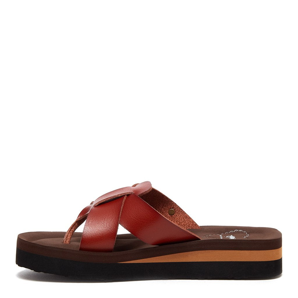 Wilmer Brown Flip-Flops - Rocket Dog